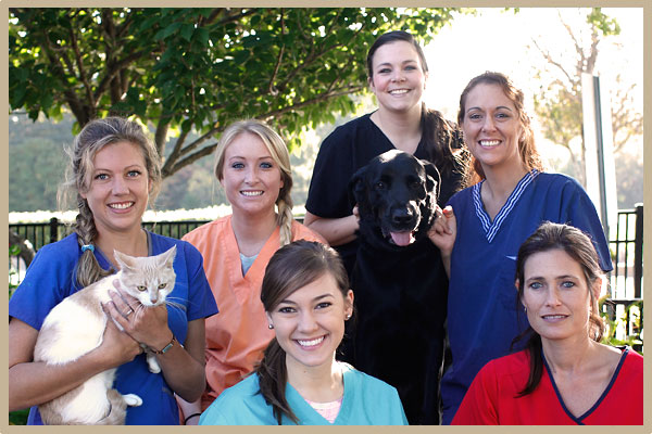 St Bethlehem Animal Clinic Clarksville Tn Veterinary Hospital Clarksville Tn